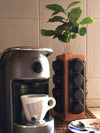 Porta capsule di Caffè | Coffii Black | con pianta Coffea arabica  - 𝘕EASYJUNGLE