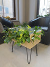 <b>PLANTABLE - Pothos</b><br>vaso/tavolino da caffè, vetro legno e metallo, con 8 piante incluse - 𝘕EASYJUNGLE
