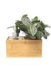 <b>SAEBE - Fittonia</b><br>vaso/dispenser per sapone o gel, con pianta inclusa <i>Fittonia Albivenis</i> - 𝘕EASYJUNGLE