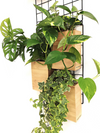 <b>3-PACK FLORA - Climbing Plants</b><br>giardino verticale componibile, pack da 3 vasi e griglia, con piante incluse - 𝘕EASYJUNGLE