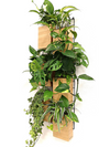 <b>6-PACK FLORA - Entry Level</b><br>giardino verticale componibile, pack da 6 vasi e griglie, con piante incluse - 𝘕EASYJUNGLE