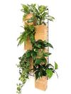 <b>6-PACK FLORA - Air Cleaner</b><br>giardino verticale componibile, pack da 6 vasi e griglie, con piante incluse - 𝘕EASYJUNGLE