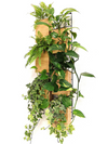 <b>6-PACK FLORA - Low Light</b><br>giardino verticale componibile, pack da 6 vasi e griglie, con piante incluse - 𝘕EASYJUNGLE