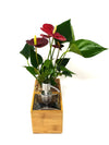 Porta sapone liquido | Saebe | con pianta Anthurium red  - 𝘕EASYJUNGLE