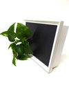 Quadro vegetale Lavagna | Desia white | Lato con pianta Pothos Aureum- 𝘕EASYJUNGLE 