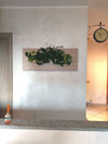 <b>SELVA - Pothos</b><br>quadro/vaso da parete XL, con 6 piante incluse <i>Pothos e Spathiphyllum</i> - 𝘕EASYJUNGLE