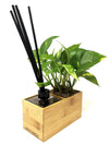 Aira Black | con pianta Pothos Aureum - 𝘕EASYJUNGLE