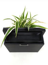 <b>LIAF S - Chloro</b><br>quadro/vaso da parete, con pianta inclusa <i>Chlorophytum</i> - 𝘕EASYJUNGLE