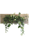 <b>SELVA - Edera</b><br>quadro/vaso da parete XL, con 6 piante incluse <i>Edera, Pothos e Spathiphyllum</i> - 𝘕EASYJUNGLE