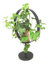 <b>RUNDA - Edera</b><br>vaso con tutore/centrotavola, con pianta inclusa <i>Edera Variegata</i> - 𝘕EASYJUNGLE