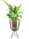 <b>FLYT - Spathi</b><br>vaso/centrotavola, con pianta inclusa <i>Spathiphyllum</i> - 𝘕EASYJUNGLE