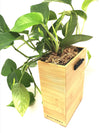<b>FLORA - Pothos</b><br>vaso da appendere componibile, con pianta inclusa <i>Pothos Aureum</i> - 𝘕EASYJUNGLE