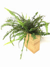 <b>FLORA - Felce</b><br>vaso da appendere componibile, con pianta inclusa <i>Nephrolepis</i> - 𝘕EASYJUNGLE