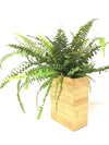 <b>FLORA - Felce</b><br>vaso da appendere componibile, con pianta inclusa <i>Nephrolepis</i> - 𝘕EASYJUNGLE