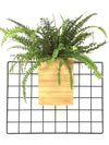 <b>FLORA - Felce</b><br>vaso da appendere componibile, con pianta inclusa <i>Nephrolepis</i> - 𝘕EASYJUNGLE