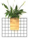 <b>FLORA - Spathi</b><br>vaso da appendere componibile, con pianta inclusa <i>Spathiphyllum</i> - 𝘕EASYJUNGLE