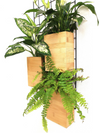 <b>3-PACK FLORA - Air Cleaner</b><br>giardino verticale componibile, pack da 3 vasi e griglia, con piante incluse - 𝘕EASYJUNGLE