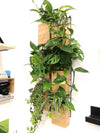 <b>6-PACK FLORA - Entry Level</b><br>giardino verticale componibile, pack da 6 vasi e griglie, con piante incluse - 𝘕EASYJUNGLE
