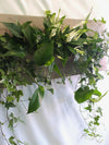 <b>SELVA - Edera</b><br>quadro/vaso da parete XL, con 6 piante incluse <i>Edera, Pothos e Spathiphyllum</i> - 𝘕EASYJUNGLE