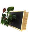  Quadro vegetale Lavagna | Desia wood | Lato con pianta Anthurium red - 𝘕EASYJUNGLE 