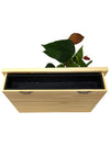  Quadro vegetale Lavagna | Desia wood | Retro e sistema d'irrigazione- 𝘕EASYJUNGLE 