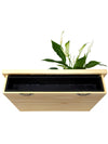 Quadro vegetale Lavagna | Desia wood | Retro e sistema d'irrigazione- 𝘕EASYJUNGLE 