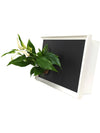 Quadro vegetale Lavagna | Desia white | Lato con pianta Spathiphyllum - 𝘕EASYJUNGLE 