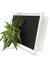 Quadro vegetale Lavagna | Desia white | Lato con pianta Chlorophytum - 𝘕EASYJUNGLE