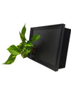 Quadro vegetale Lavagna | Desia Black | Lato con pianta Pothos Aureum- 𝘕EASYJUNGLE 