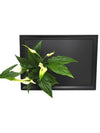 Quadro vegetale Lavagna | Desia Black | con pianta Spathiphyllum - 𝘕EASYJUNGLE 