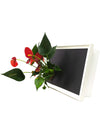 Quadro vegetale Lavagna | Desia white | Lato con pianta Anthurium red - 𝘕EASYJUNGLE 